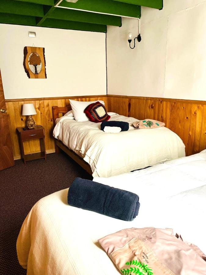 Auberge de jeunesse Profe Nelson à Puerto Cisnes Extérieur photo